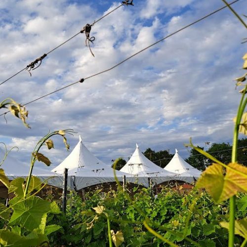 wijngaarddiner-2_2023-01-18-153159_iizw